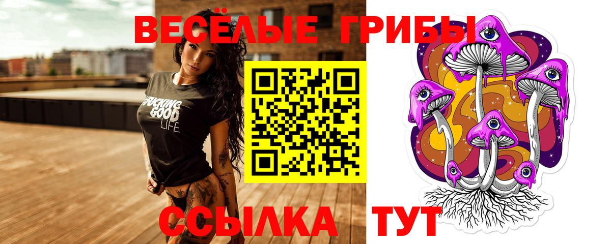 МЕФ Белая Калитва
